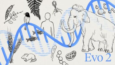 Rivoluzione AI per la genetica: arriva il super modello Evo 2, ecco cosa potrà fare