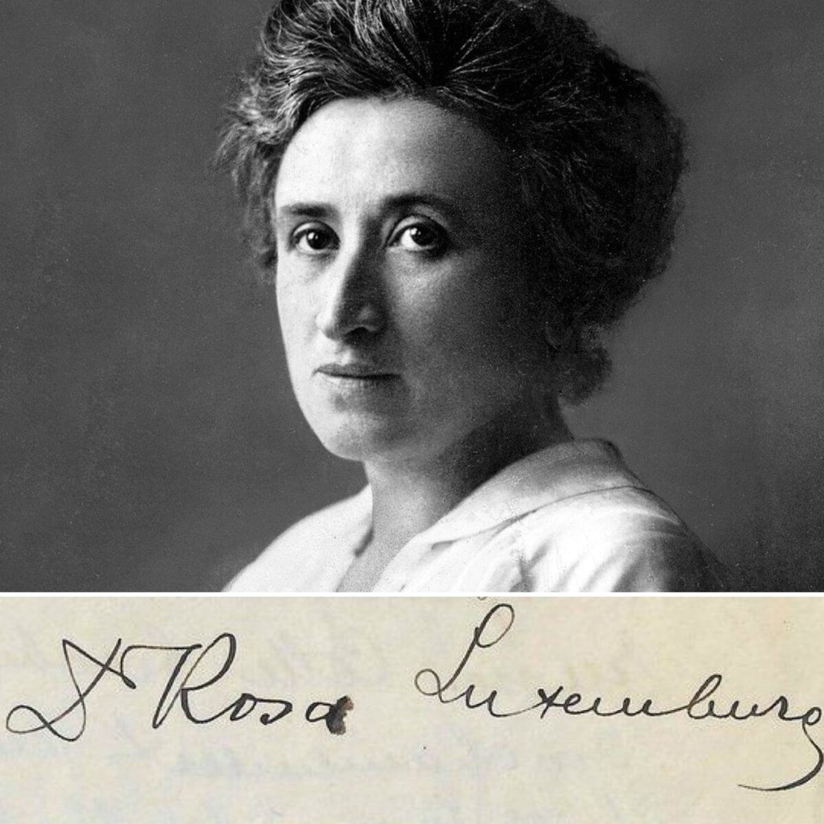 8 marzo 2026, all’asta due lettere scritte a mano da Rosa Luxemburg e Virginia Woolf