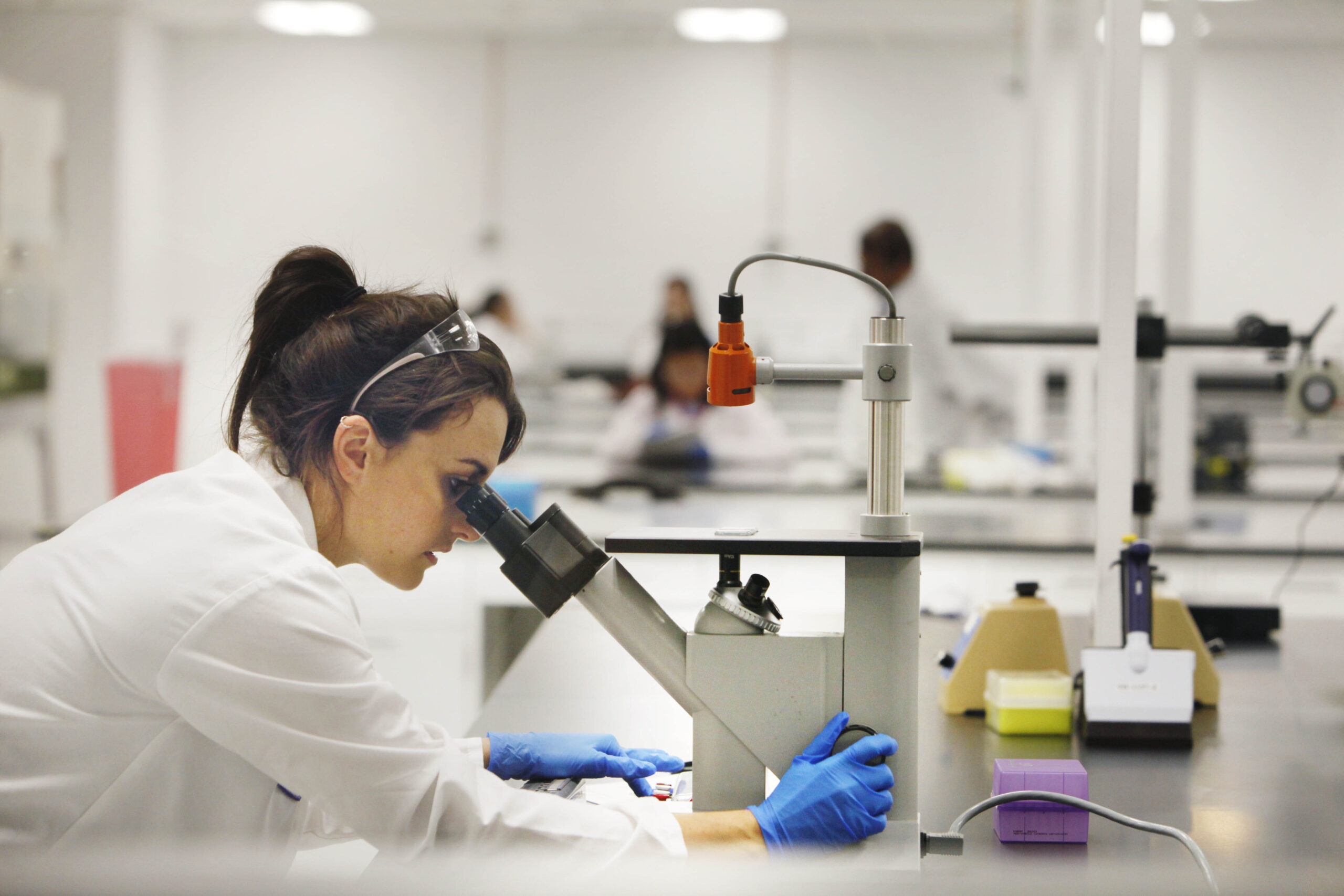 Fegato, nuova arma contro il prurito: l’accordo di Gsk e Alfasigma