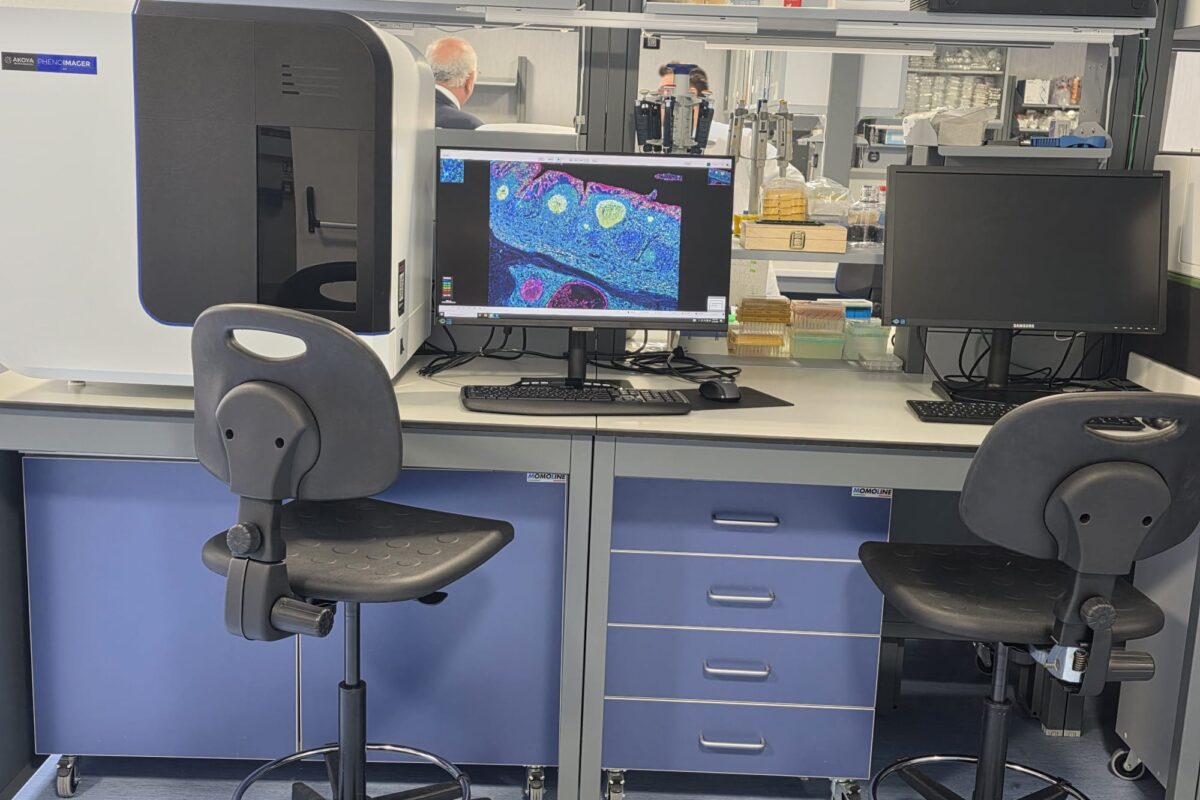 La ‘notte stellata’ dell’immunoterapia: dentro il nuovo laboratorio del Crom guidato dal team di Paolo Ascierto