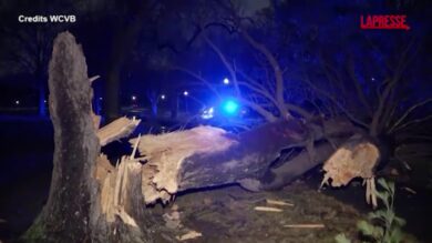 Usa, decine di alberi abbattuti dalla tempesta a Boston