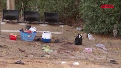 Nigeria, attentati suicidi nella città di Maiduguri: 23 morti e oltre 100 feriti