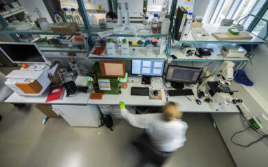 Colesterolo, se livelli troppo bassi aumentano il rischio di mortalità: la ricerca