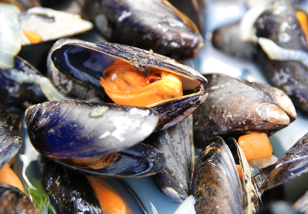 Epatite A, i controlli sulla filiera e l’allarme sui molluschi crudi