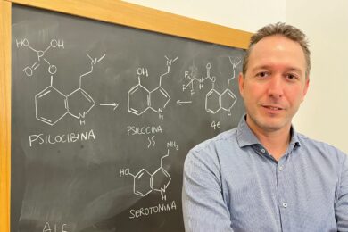 Curare la depressione senza ‘sballo’, ecco la psilocibina modificata