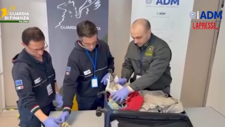 Palermo, sequestrati in aeroporto 13 esemplari di corallo protetto