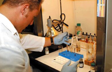 Influenza aviaria a Milano, le novità e l’analisi dell’epidemiologo