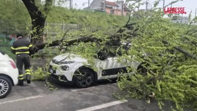 Milano, ramo di albero caduto su auto per il forte vento