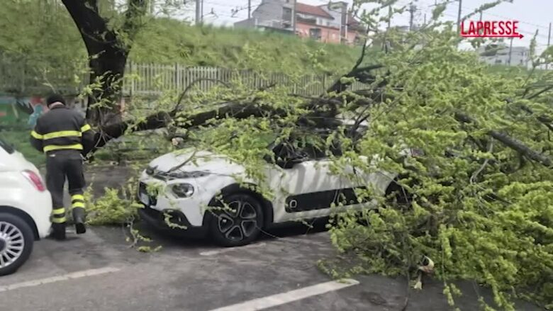 Milano, ramo di albero caduto su auto per il forte vento