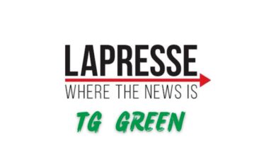 TG Green 26 marzo 2026 – La rete degli acquedotti perde 38 litri ogni 100