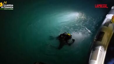 Reggio Calabria, sequestrati 400 kg di cocaina al porto di Gioia Tauro