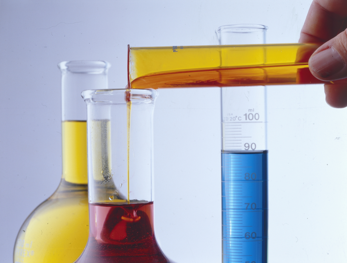 Ricina, che cos’è il veleno che ha ucciso madre e figlia a Campobasso Ricina, che cos’è il veleno che ha ucciso madre e figlia a Campobasso