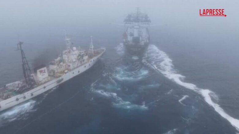 Antartide, attivisti speronano un peschereccio industriale da traino: le immagini