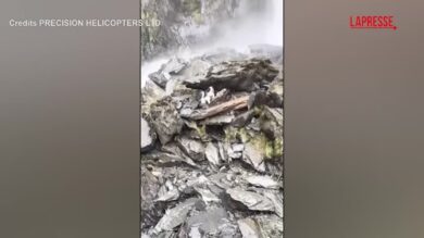 Nuova Zelanda, border collie disperso viene salvato in elicottero