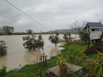 Maltempo in Abruzzo e Molise, allagamenti e disagi: Diga Liscione verso la soglia critica, crolla ponte sulla Fossaltina