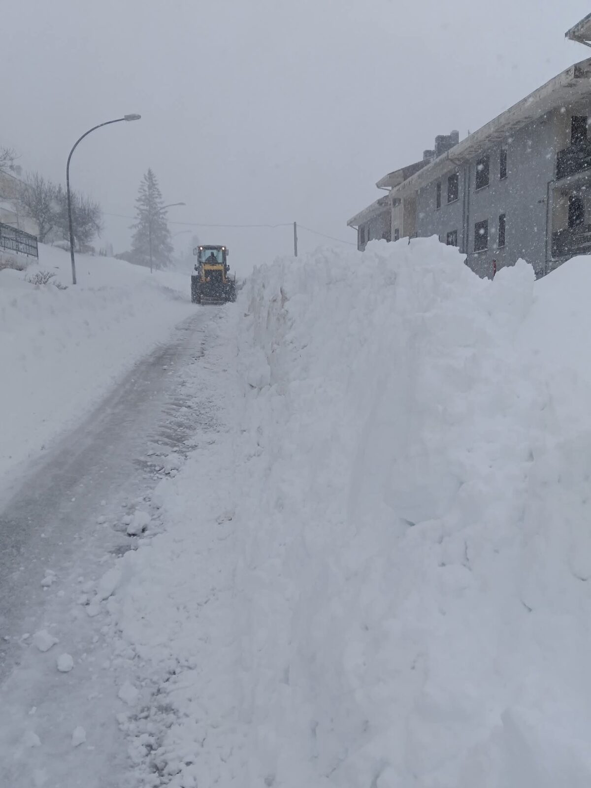 Maltempo in Abruzzo e Molise, crolla un ponte sul Trigno su Statale Adriatica