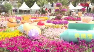 Hong Kong, lo spettacolo dei parchi in fiore nella ex colonia britannica