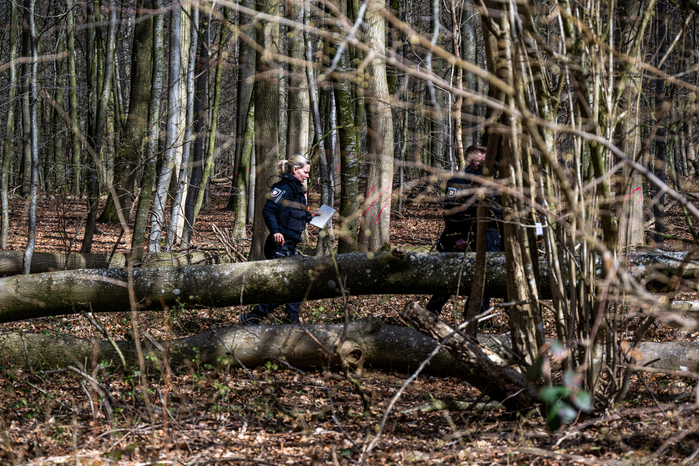 Germania, albero cade per il vento durante la caccia alle uova: morte 3 persone