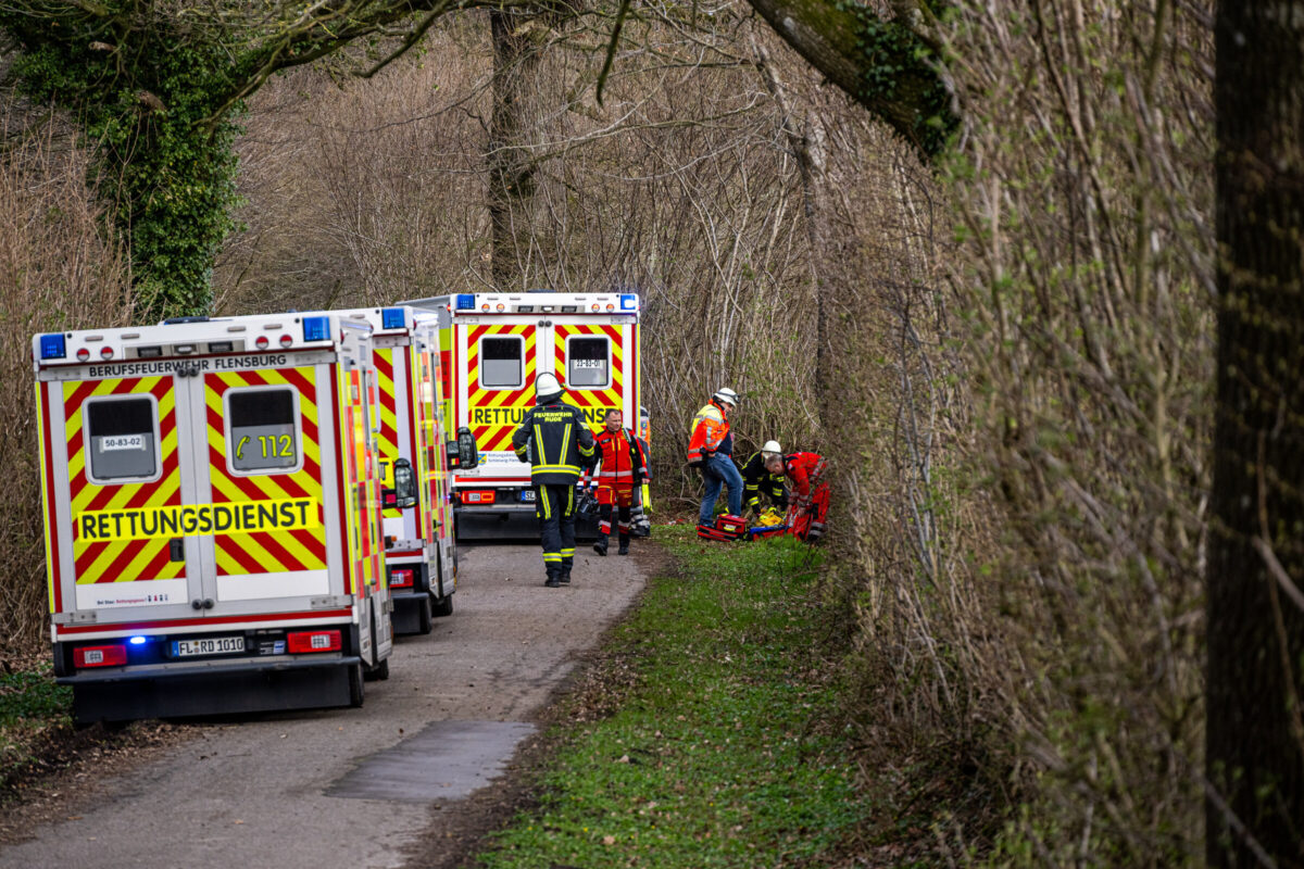 Germania, albero cade per il vento durante la caccia alle uova: morte 3 persone