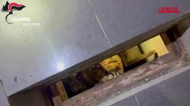Reggio Calabria, trovato arsenale in un bunker sotto a un casolare: arrestato un uomo