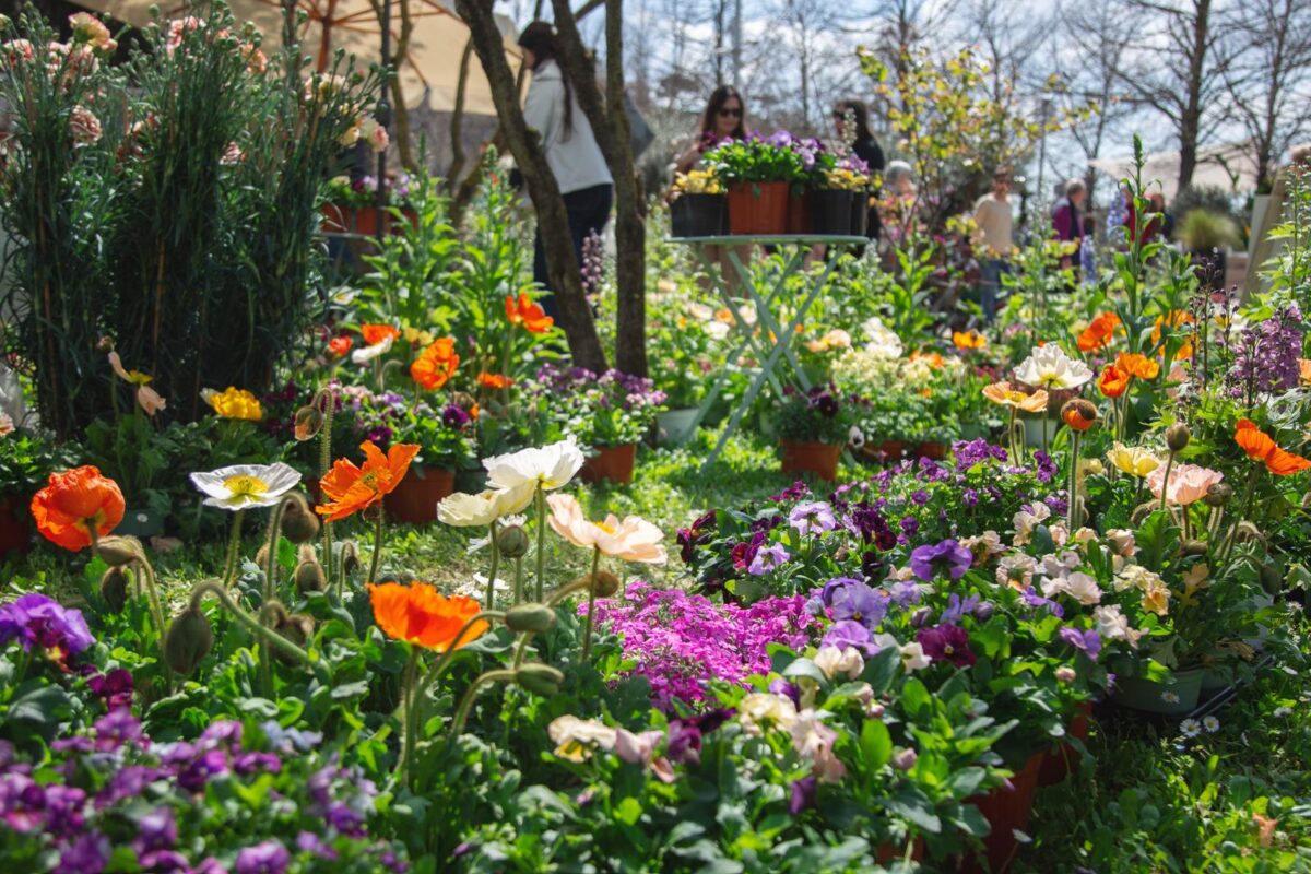 Roma: da domani al via il Festival del Verde e del Paesaggio