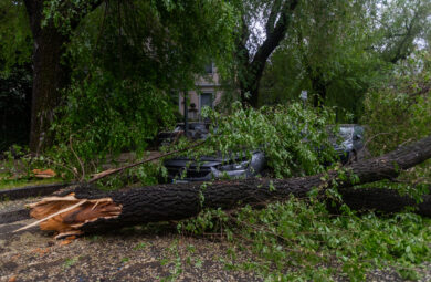 Bisceglie, 12enne muore schiacciata da albero