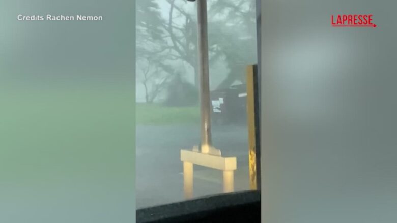 Illinois, tornado sradica un albero nella cittadina di Lena