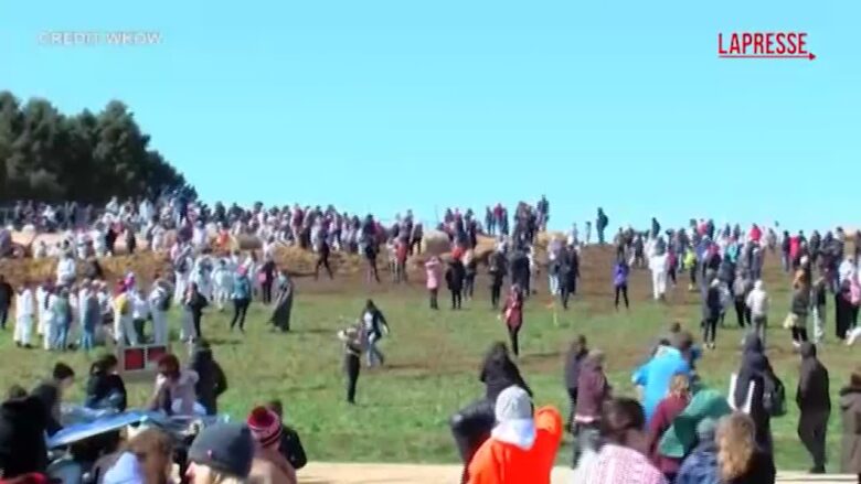 Wisconsin, attivisti tentato di entrare in un allevamento di beagle: la polizia usa spray al peperoncino