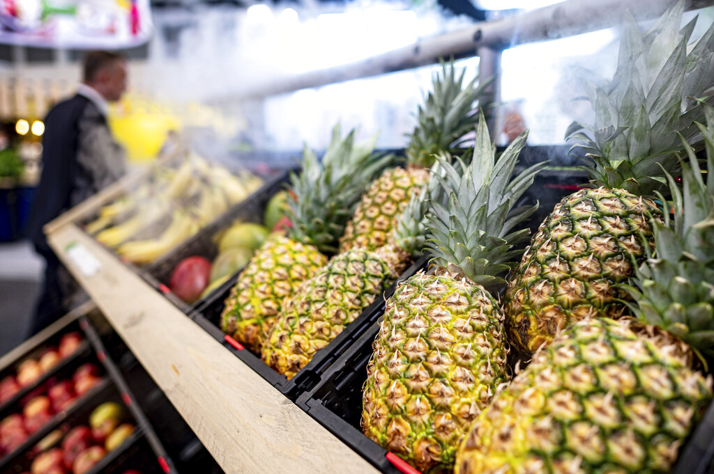 Corsa ai drenanti contro gonfiore e cellulite, ecco gli 8 attivi green 