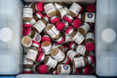 Vaccini, 150 milioni di vite salvate ma la copertura è ancora fragile