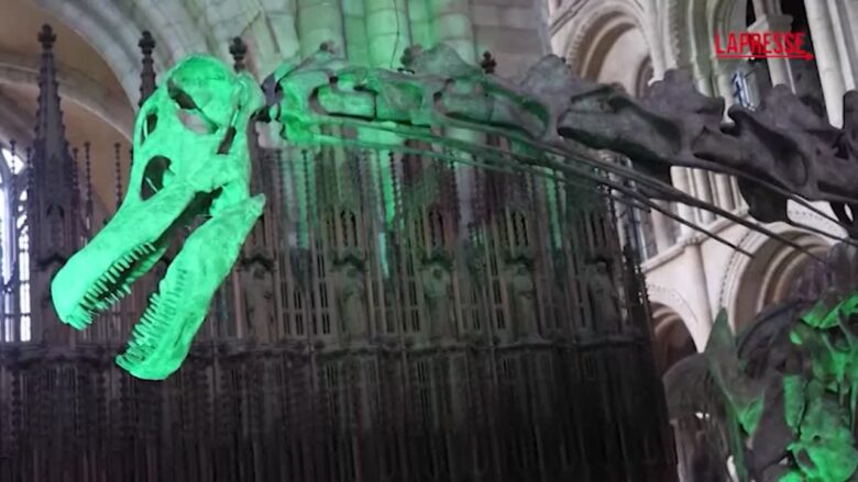 Regno Unito, il calco di dinosauro più grande del mondo in mostra alla cattedrale di Peterborough
