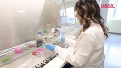 Salute, alla prevenzione il 5% della spesa sanitaria: il rapporto