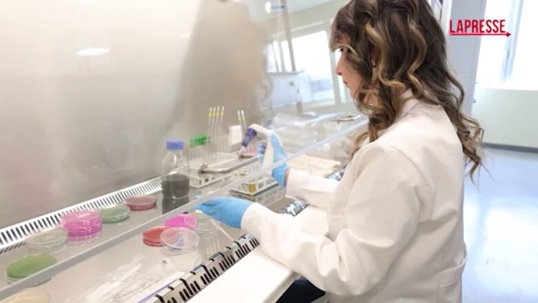 Salute, alla prevenzione il 5% della spesa sanitaria: il rapporto