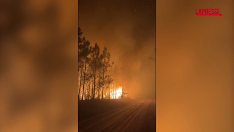 Usa, vasto incendio boschivo divampa nella contea di Clinch in Georgia