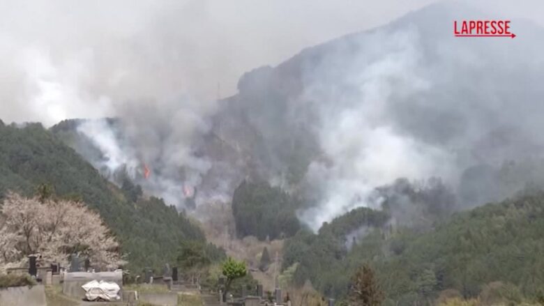 Giappone, incendi devastano il nord-est del paese: in fiamme 730 ettari di bosco
