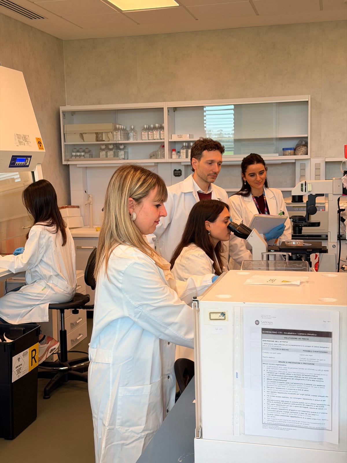 Galleria foto 'Tumore al pancreas, italiani scoprono tallone d’Achille per ‘disinnescare’ la resistenza ai farmaci' - foto 1