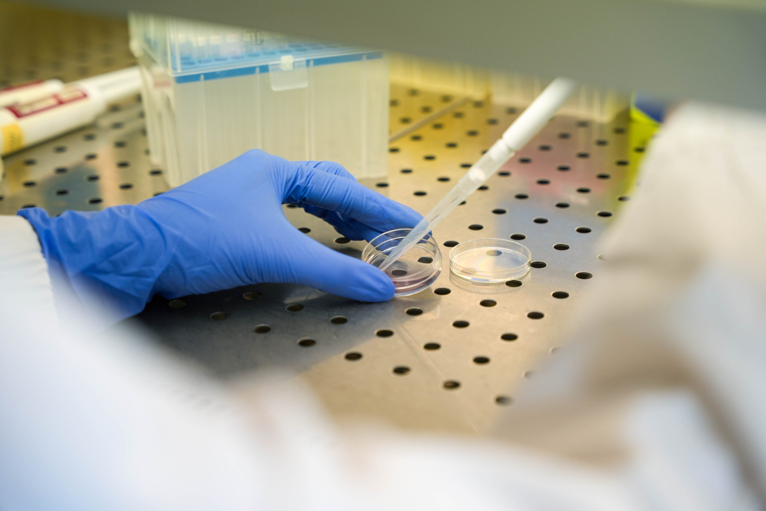 Aritmie cardiache, ecco come ‘spegnerle’ con l’aiuto della luce