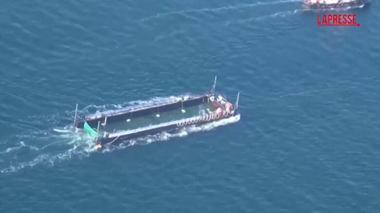 Germania, la balena Timmy caricata su una chiatta e trasferita in acque danesi