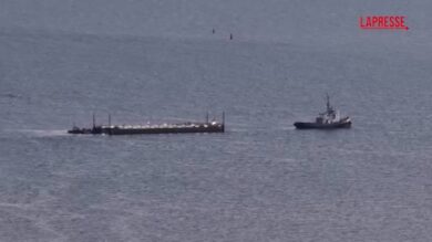 Timmy, la balena arenata nel Mar Baltico viene caricata su una chiatta