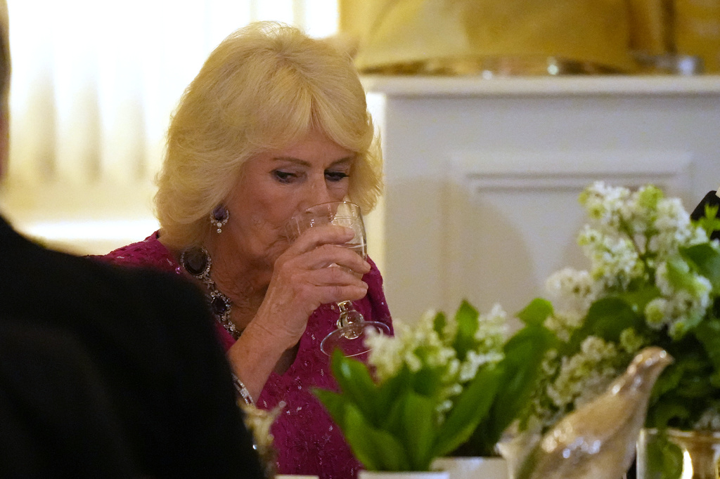 Galleria foto 'Re Carlo III e Trump alla cena di Stato: le foto del banchetto alla Casa Bianca' - foto 8