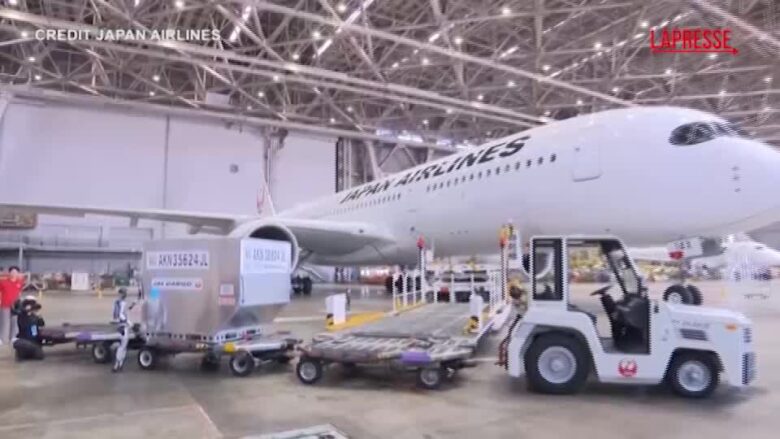 Tokyo, Japan Airlines sperimenterà robot umanoidi all'aeroporto Haneda