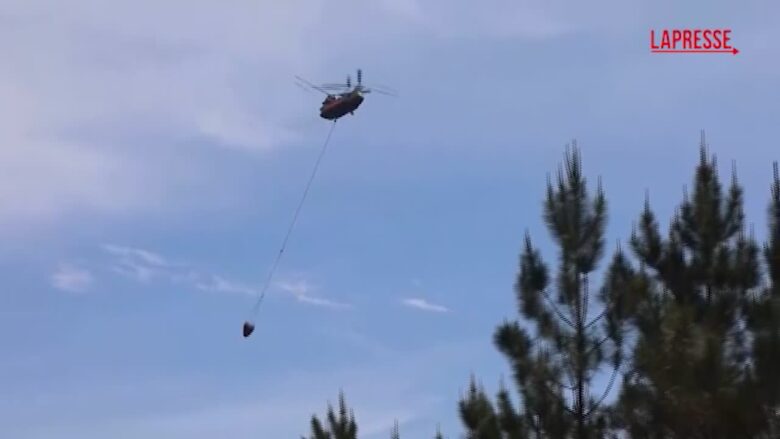 Incendi boschivi in Georgia, l'intervento dei vigili del fuoco