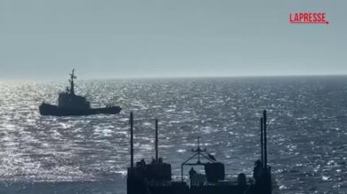 Germania, la megattera ‘Timmy’ liberata nel Mare del Nord