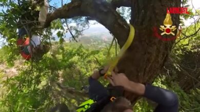 Torino, parapendista rimane impigliato su un albero: l'intervento dei Vigili del fuoco
