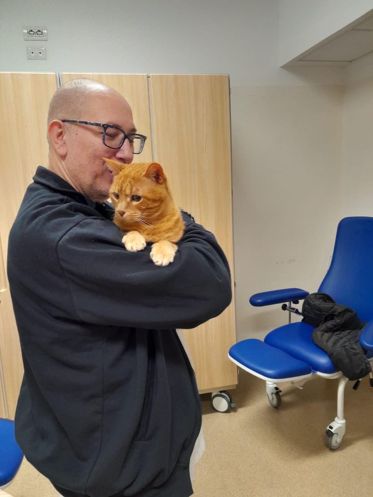 Gatto in ospedale, al Meyer la scommessa sul ‘teorema di Pitagora’