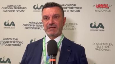 Agricoltura, Fini (Cia): "Mettere al centro sicurezza alimentare"