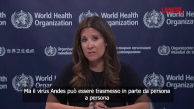Hantavirus, Oms: "Grave malattia infettiva ma non è il prossimo Covid"