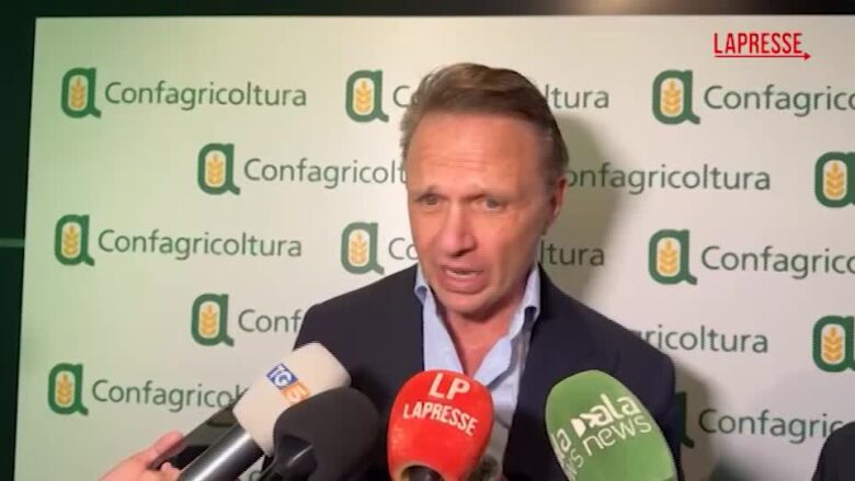 Rialzo prezzi, Lollobrigida: "In settimana incontro con Urso e grande distribuzione"
