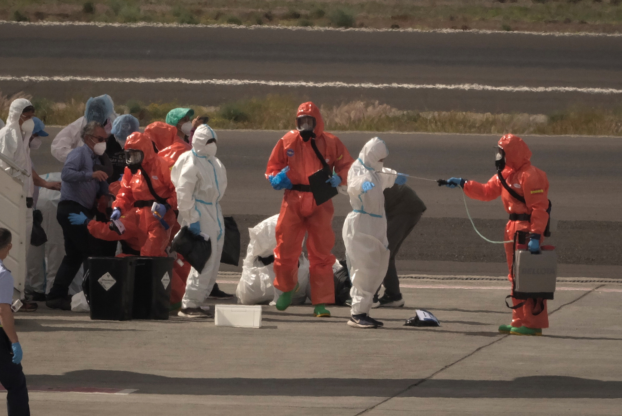 Hantavirus, il ministero Salute: “Nessun allarme, siamo lontani da una pandemia”