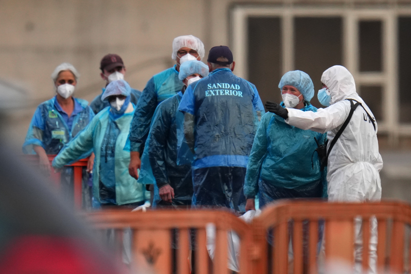 Hantavirus, ministero della Salute: “Non è come il Covid, siamo lontani dalla pandemia”